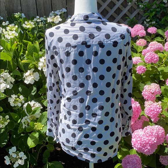 Black And Cream Dotted Foxcroft Blouse - Picture 2 of 5